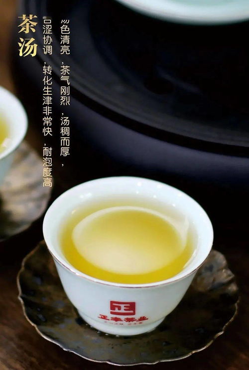 推荐老树圆茶,布朗经典口粮茶