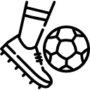 柳琴果